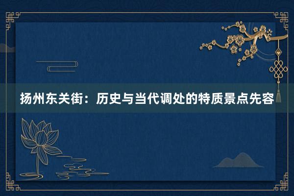 扬州东关街：历史与当代调处的特质景点先容